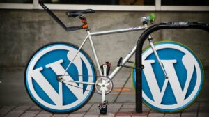 Website Design and Development